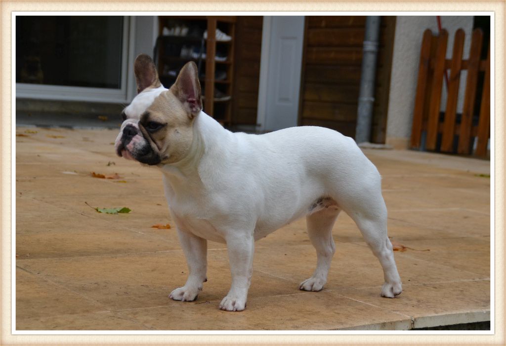 R'mionne du Clos Des Caprices Du Sud