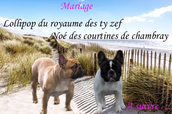 du Clos Des Caprices Du Sud - mariage