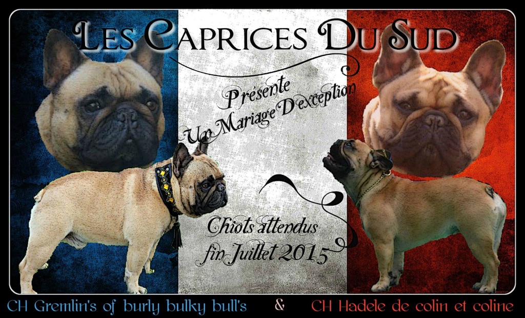 du Clos Des Caprices Du Sud - mariage de champion